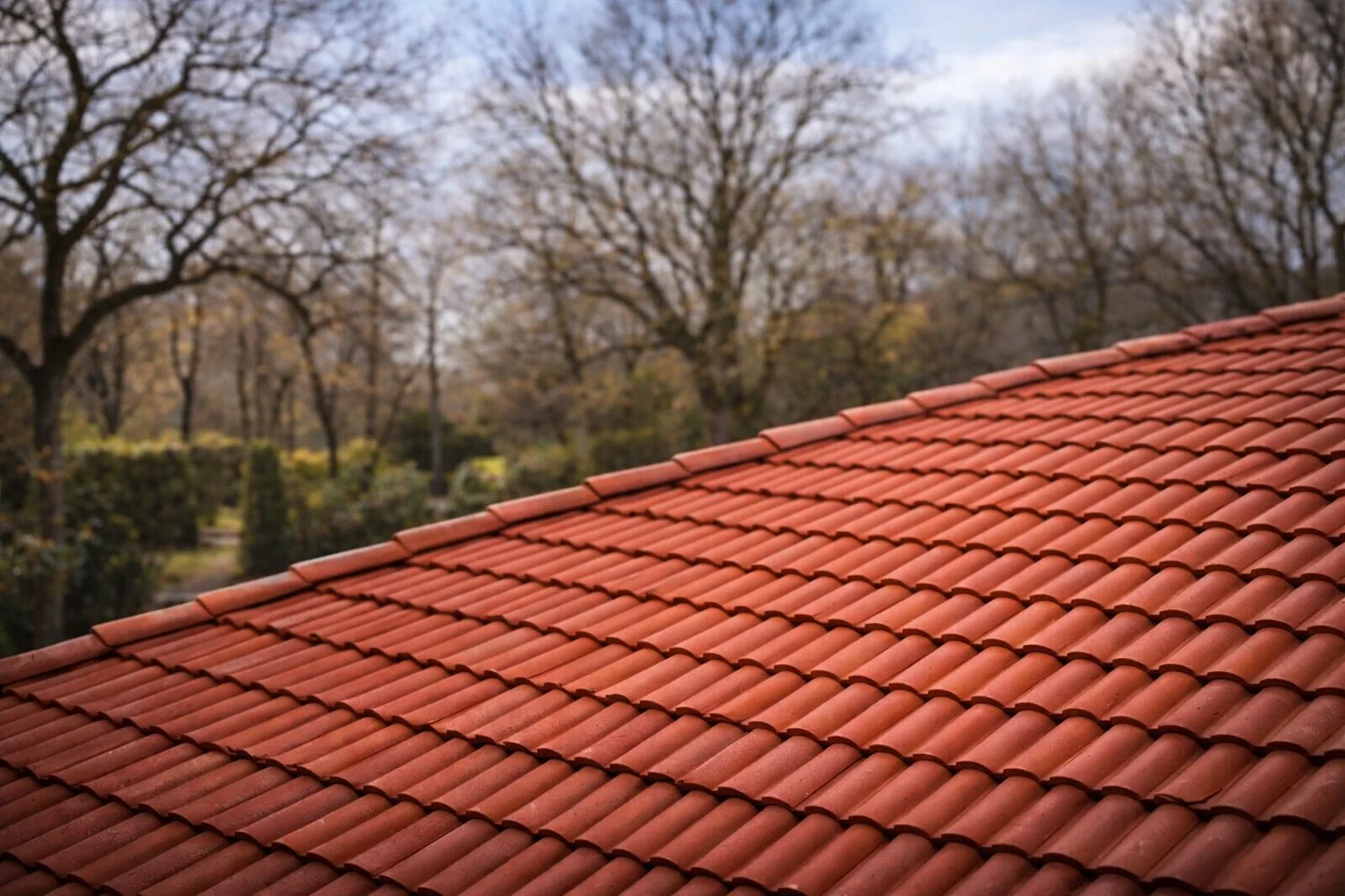 Toiture en tuiles nettoyée après démoussage et rinçage par drone dans le Tarn