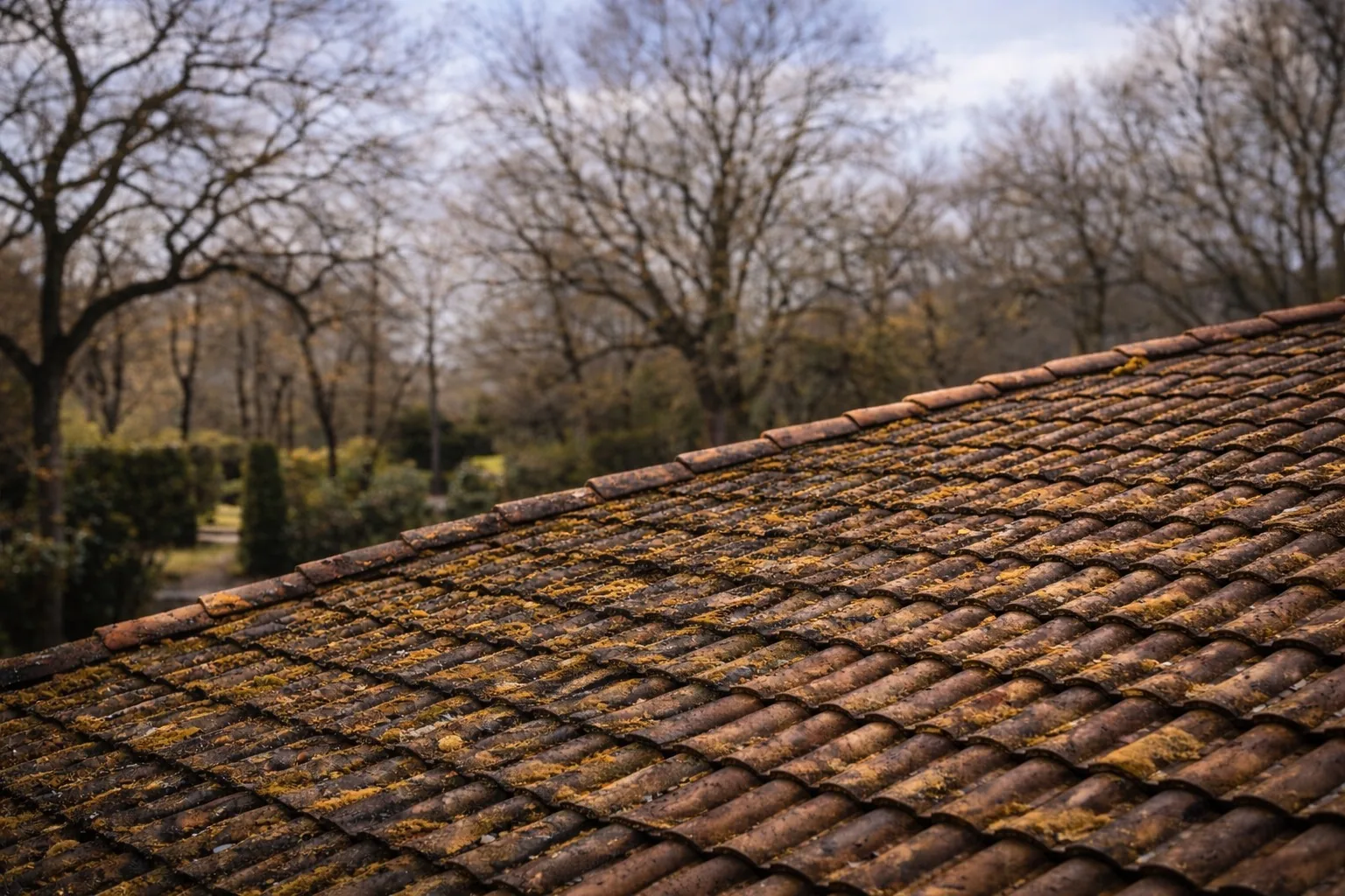 Toiture en tuiles avec mousses avant démoussage par drone dans le Tarn